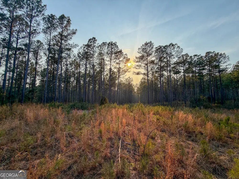 117 +/- Acres on McCosh Mill RD Franklin, GA 30217
