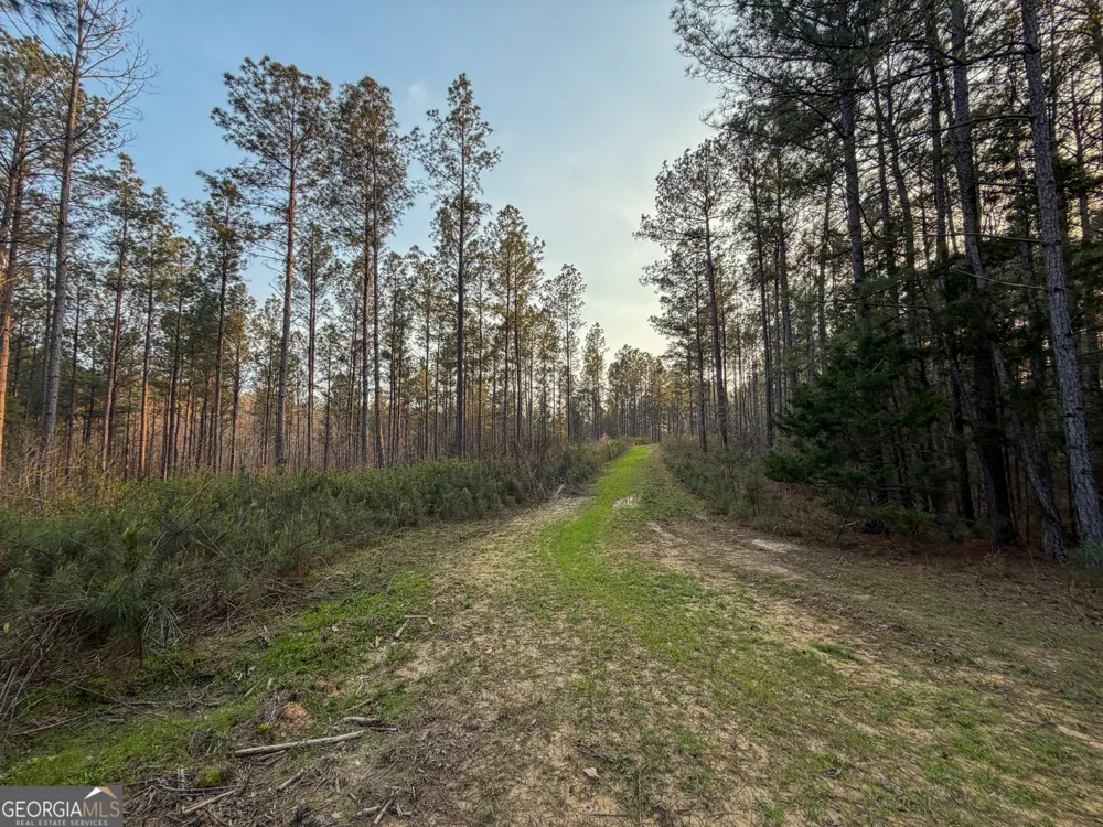 117 +/- Acres on McCosh Mill RD Franklin, GA 30217