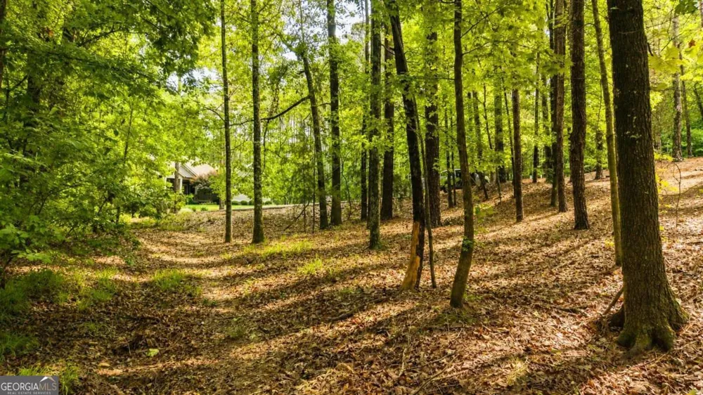 1031 Anchor Bay PT Greensboro, GA 30642