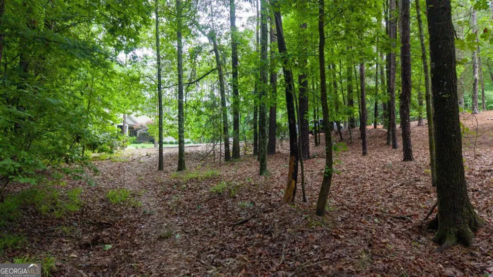 1031 Anchor Bay PT Greensboro, GA 30642