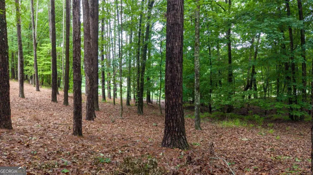 1031 Anchor Bay PT Greensboro, GA 30642