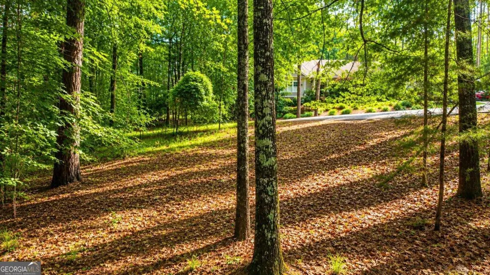 1031 Anchor Bay PT Greensboro, GA 30642