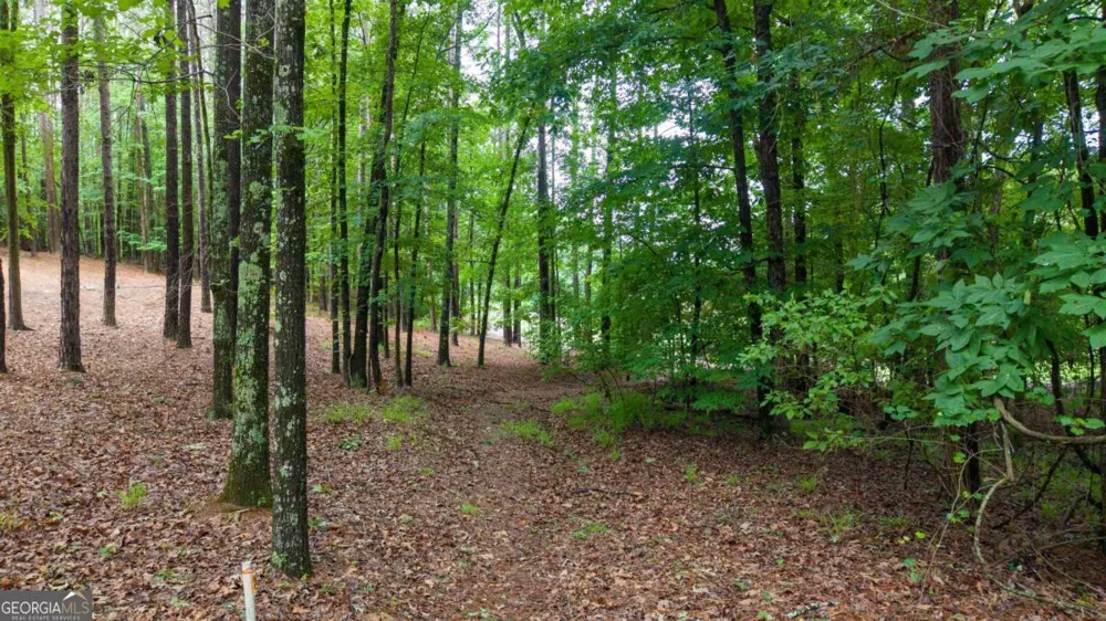 1031 Anchor Bay PT Greensboro, GA 30642