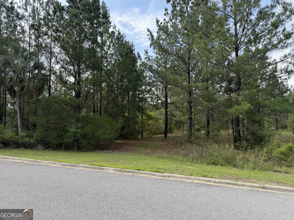 1.12 Big Horse DR Waynesville, GA 31566