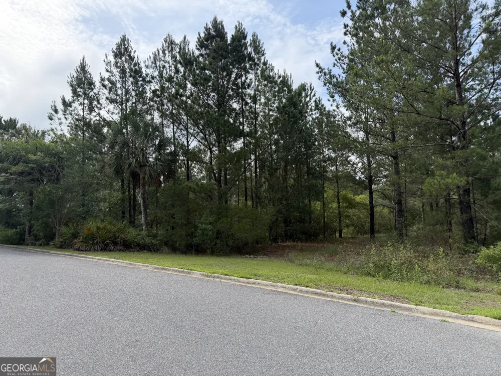 1.12 Big Horse DR Waynesville, GA 31566