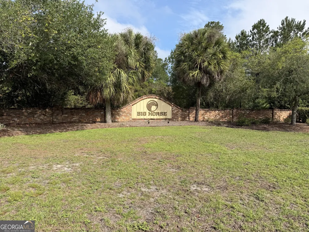 1.12 Big Horse DR Waynesville, GA 31566