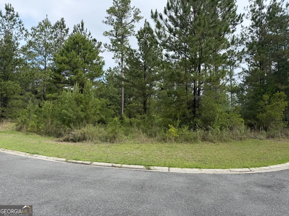 0.59 Big Horse DR Waynesville, GA 31566