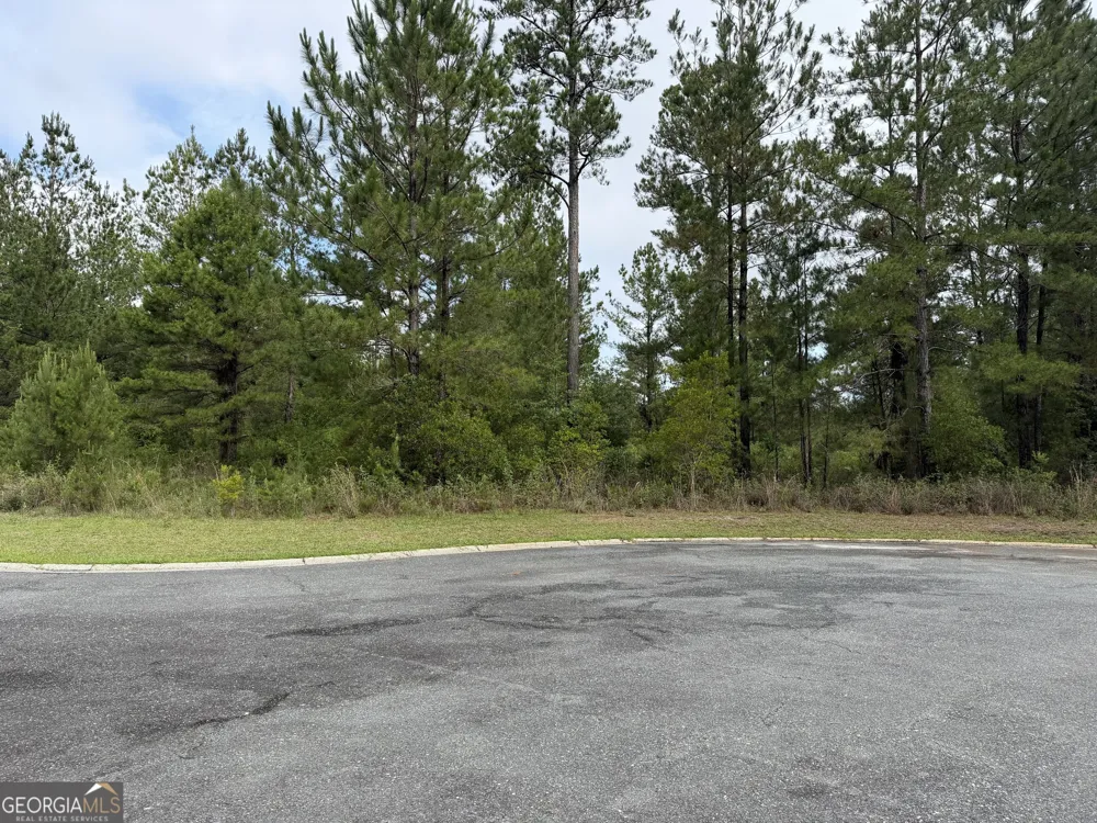 0.59 Big Horse DR Waynesville, GA 31566