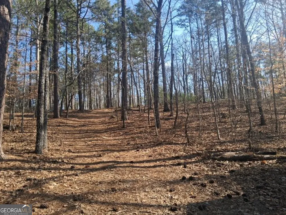 0 Hightower Falls RD Rockmart, GA 30153