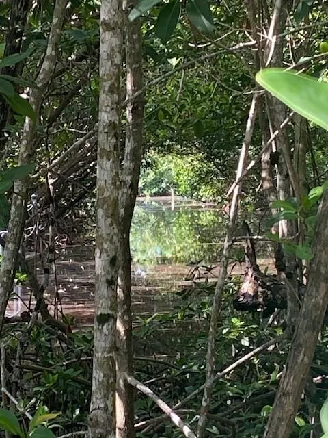 78 Otter Avenue Other City - In The State Of Florida, FL 34139
