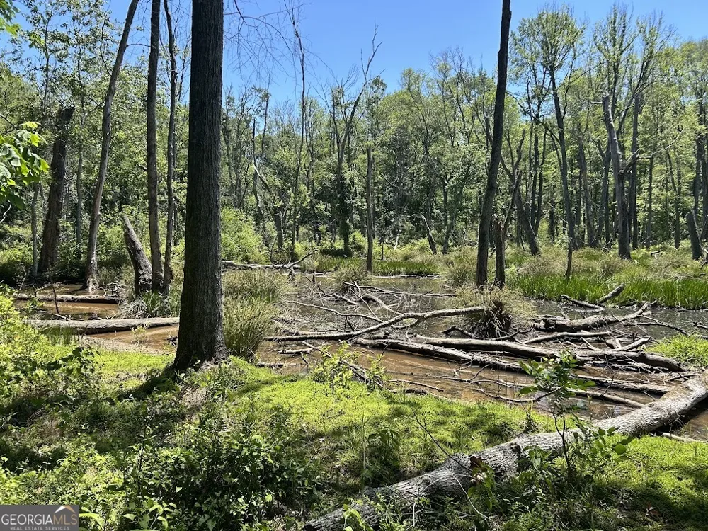 0 Old Draketown TRL Temple, GA 30179