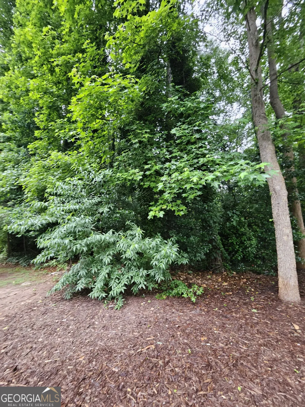 2409 Tarian DR Decatur, GA 30034
