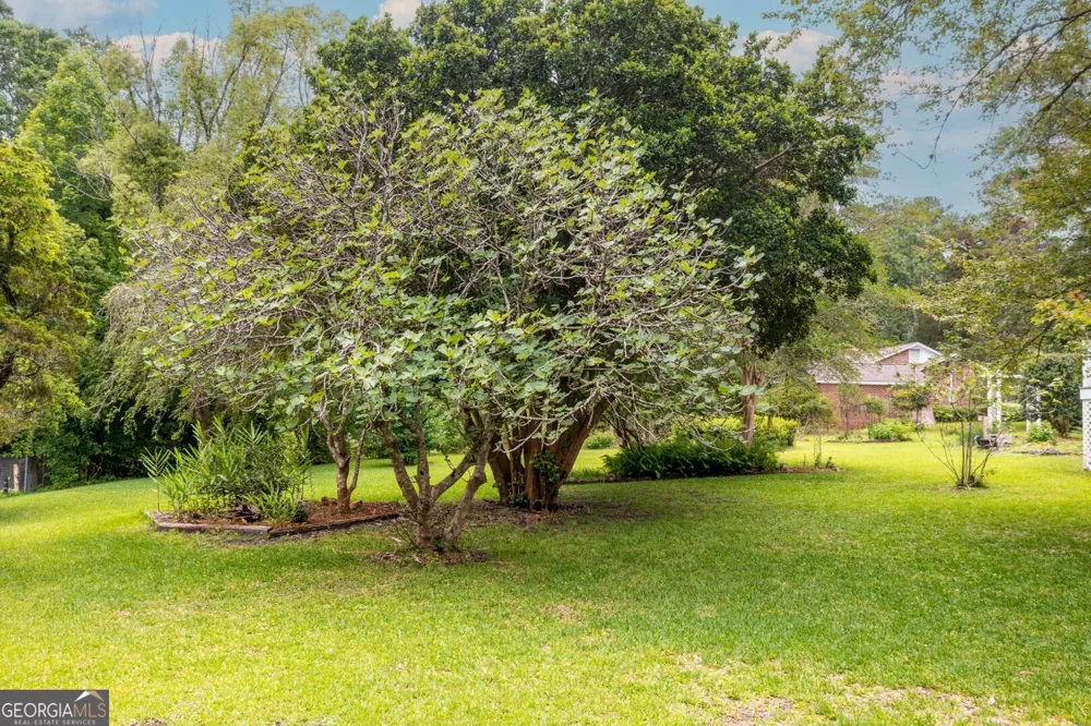 311 Hartford RD E Fort Gaines, GA 39851