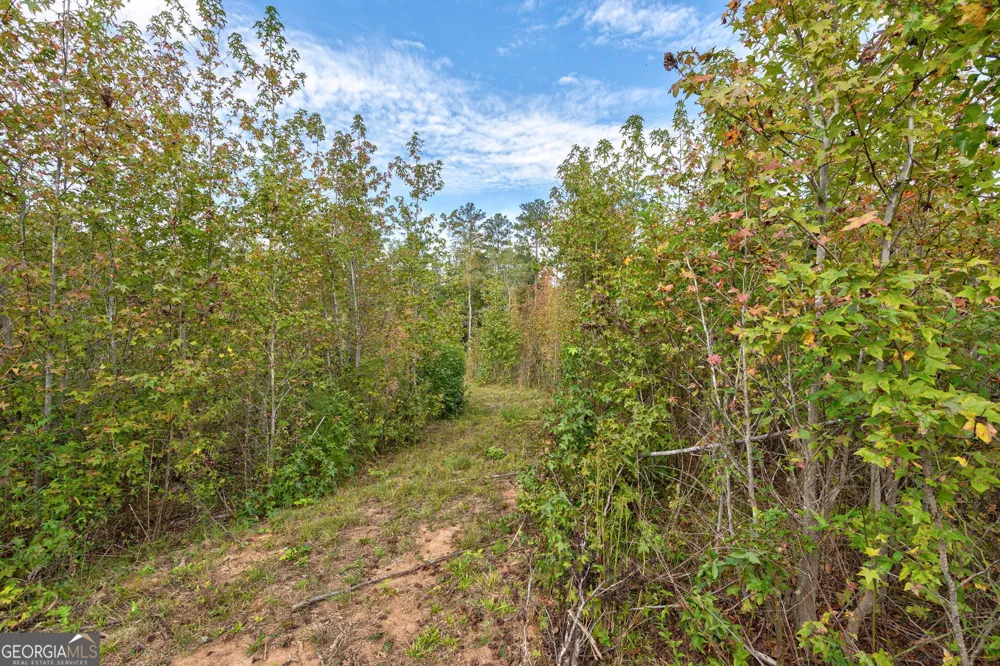 0 Old Salem Rd Tract 2, 3, 4 Watkinsville, GA 30677