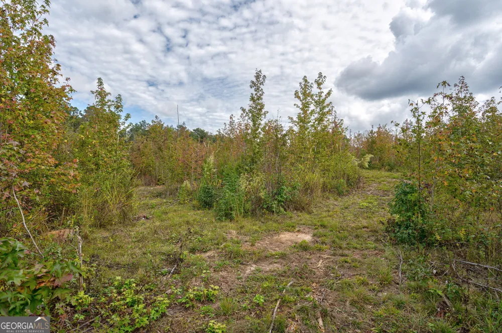 0 Old Salem Rd Tract 2, 3, 4 Watkinsville, GA 30677