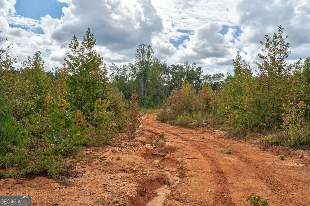 0 Old Salem Rd Tract 2, 3, 4 Watkinsville, GA 30677