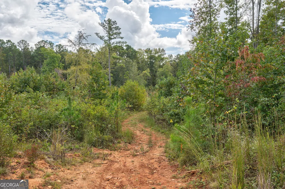 0 Old Salem Rd Tract 2, 3, 4 Watkinsville, GA 30677