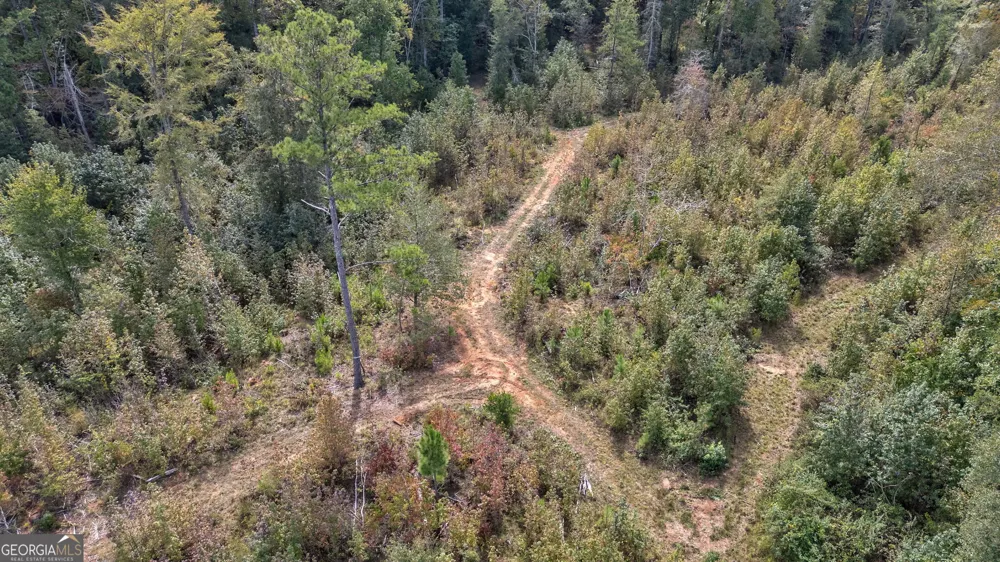 0 Old Salem Rd Tract 2, 3, 4 Watkinsville, GA 30677