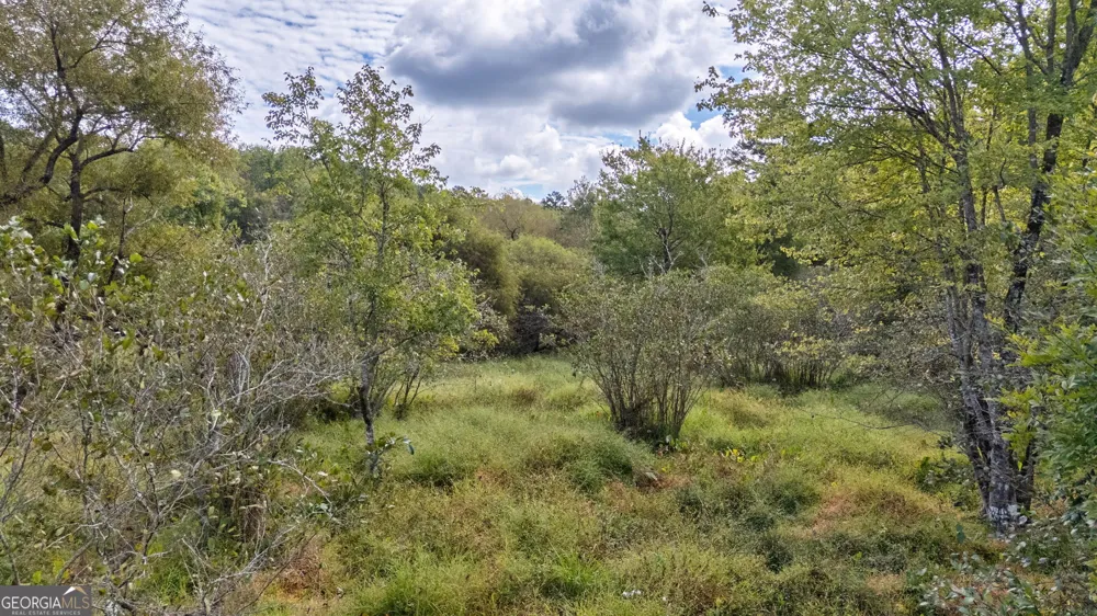 0 Old Salem Rd Tract 2, 3, 4 Watkinsville, GA 30677
