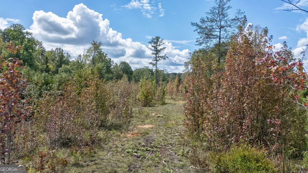 0 Old Salem Rd Tract 2, 3, 4 Watkinsville, GA 30677