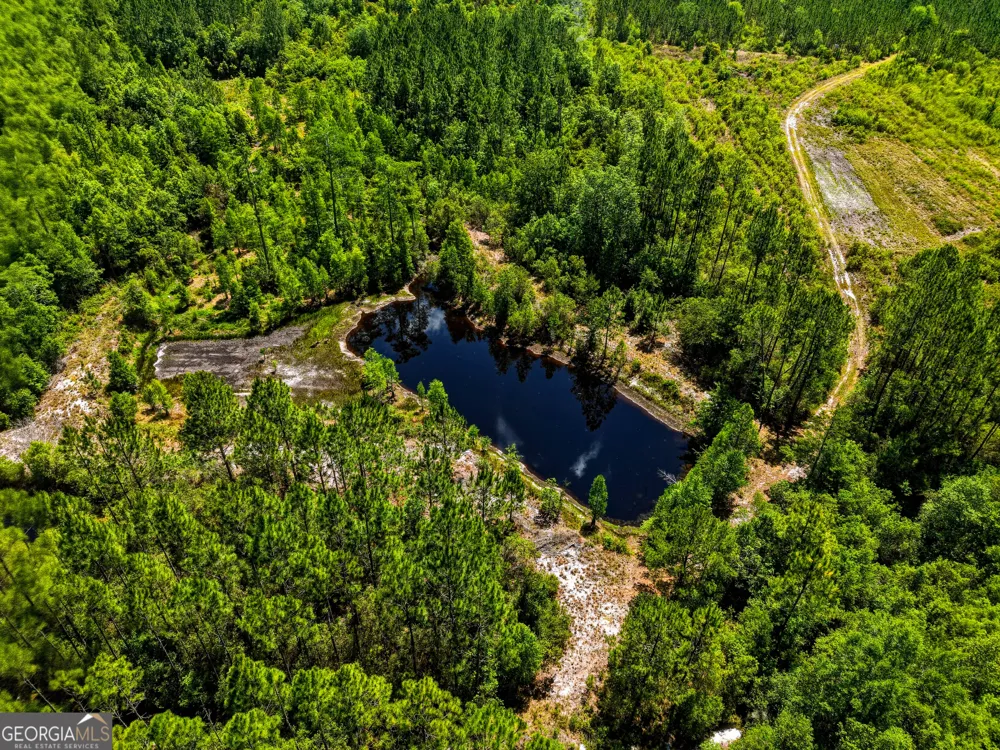 88 Minnesota RD Screven, GA 31560