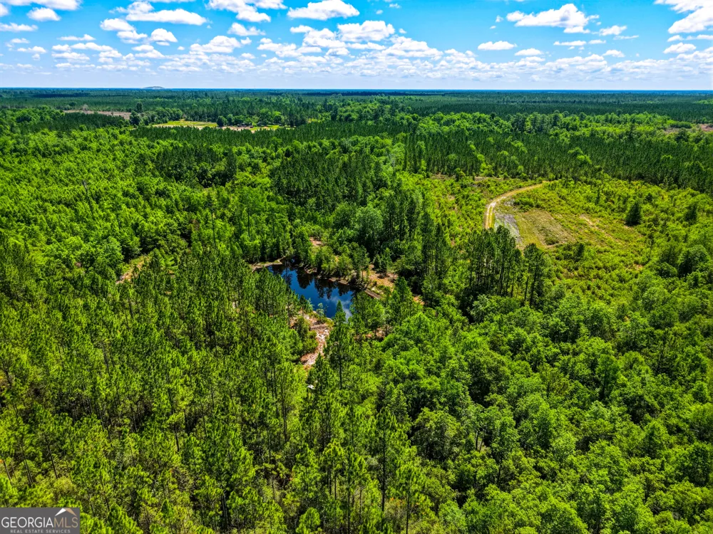 88 Minnesota RD Screven, GA 31560