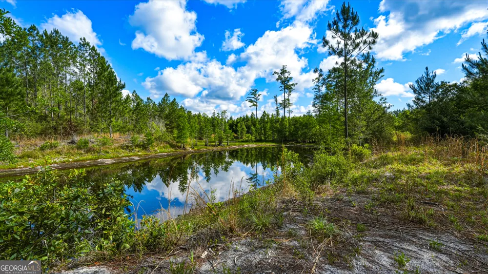88 Minnesota RD Screven, GA 31560