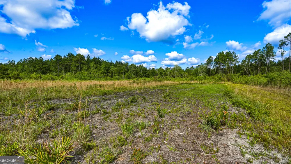 88 Minnesota RD Screven, GA 31560
