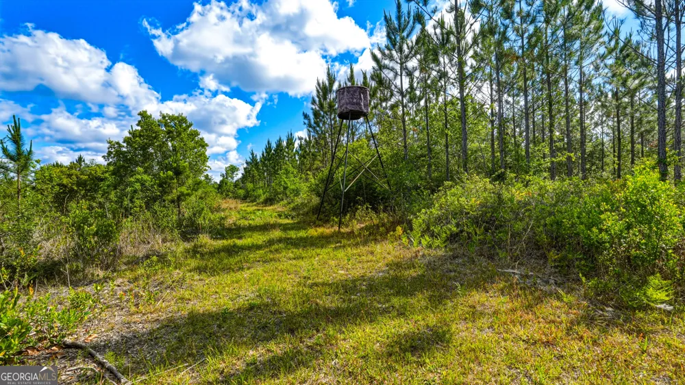 88 Minnesota RD Screven, GA 31560