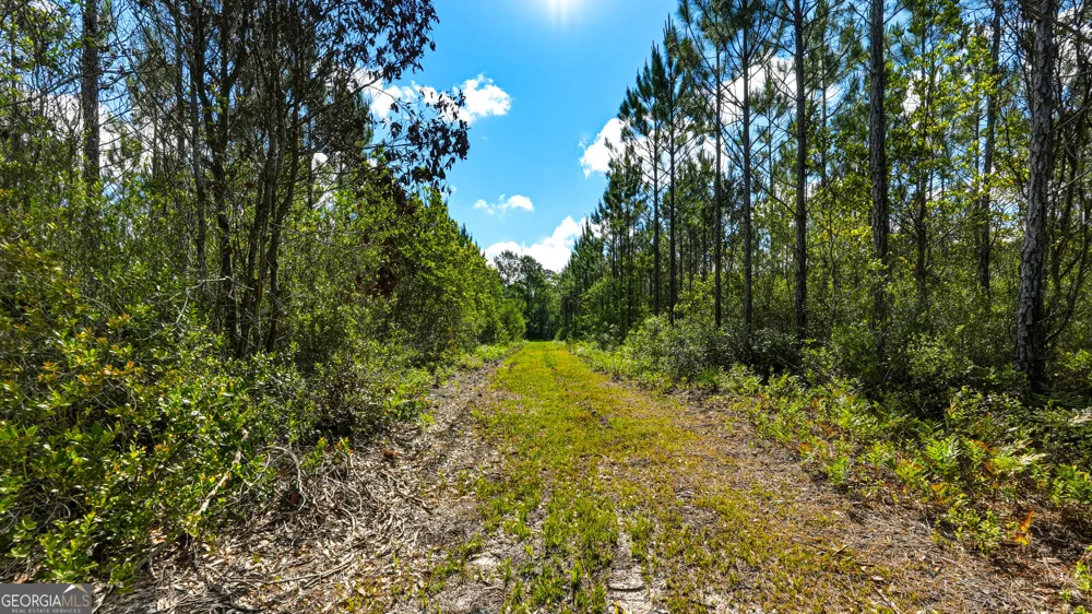 88 Minnesota RD Screven, GA 31560