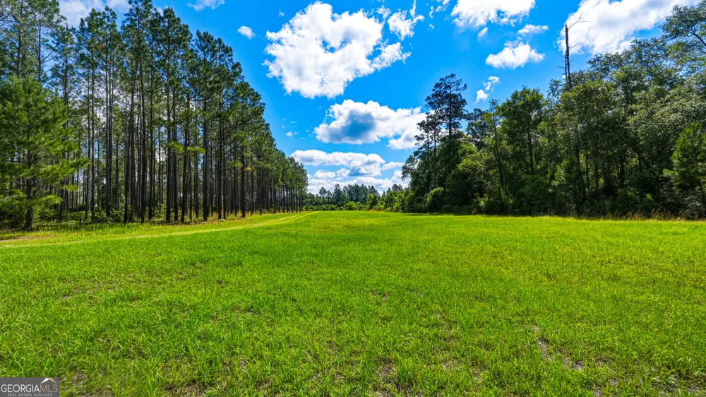 88 Minnesota RD Screven, GA 31560
