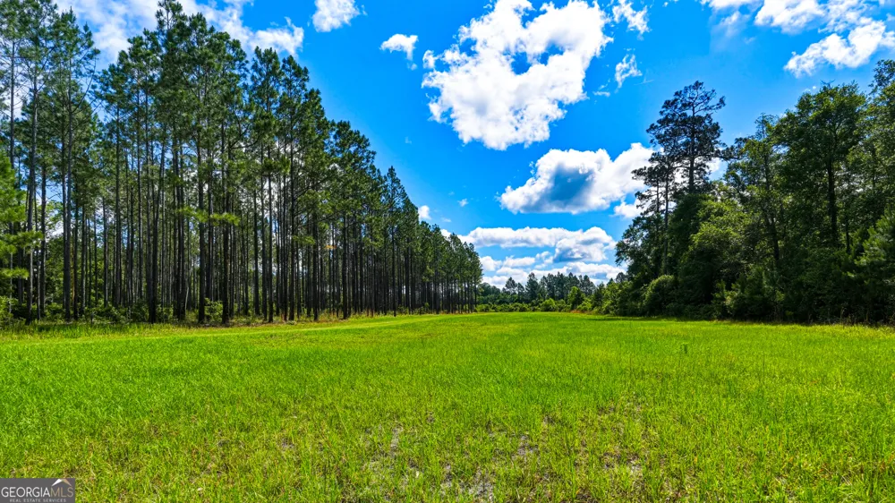 88 Minnesota RD Screven, GA 31560