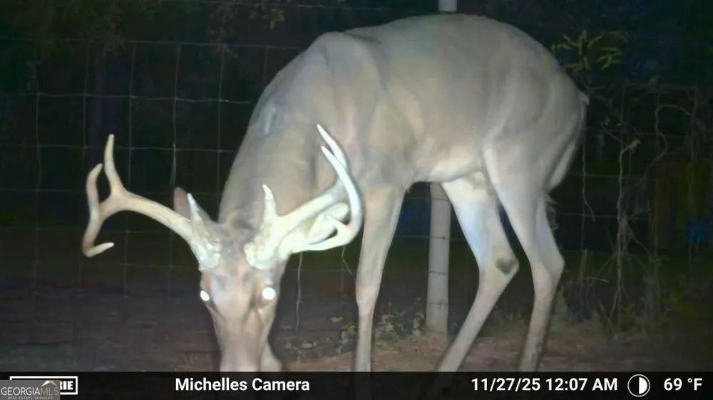 88 Minnesota RD Screven, GA 31560