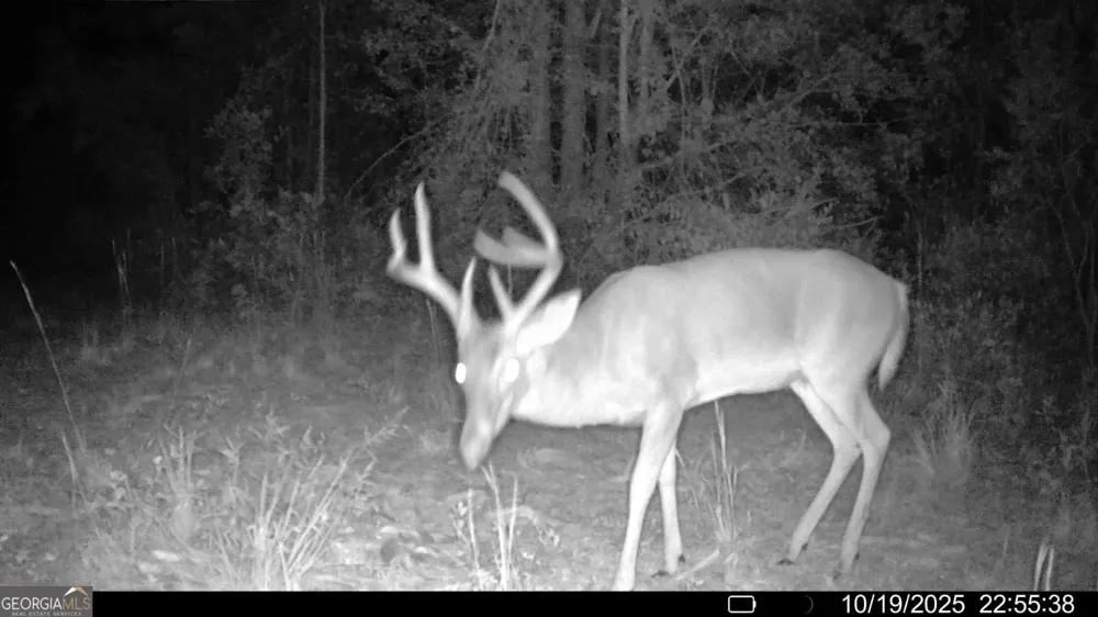 88 Minnesota RD Screven, GA 31560