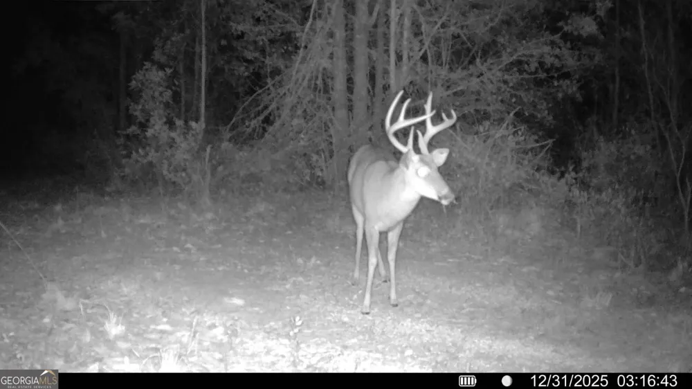 88 Minnesota RD Screven, GA 31560