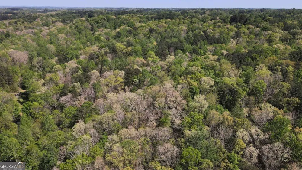 0 Crane Mountain RD Toccoa, GA 30577
