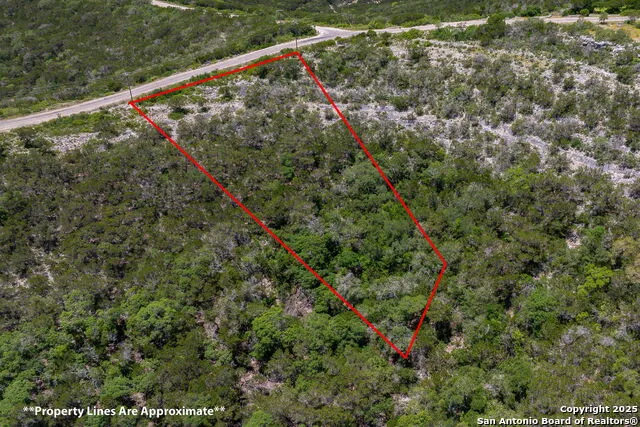59 Private Road 1717 Mico, TX 78056