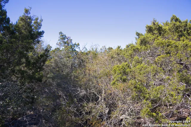 LOT 26 Leona Ranch Brackettville, TX 78832