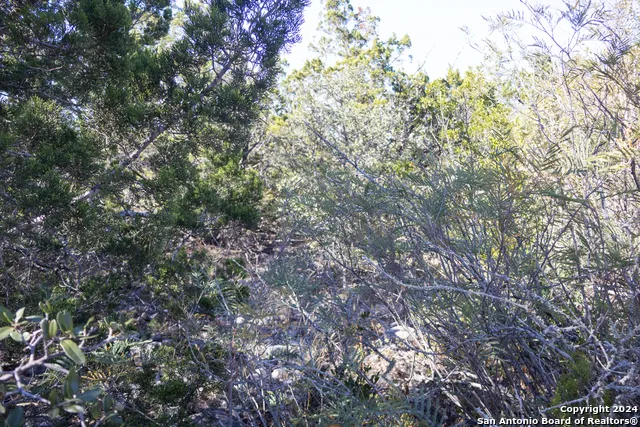 LOT 26 Leona Ranch Brackettville, TX 78832