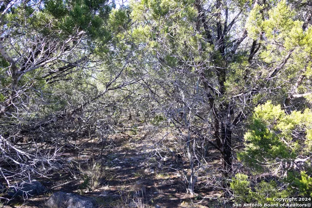 LOT 26 Leona Ranch Brackettville, TX 78832
