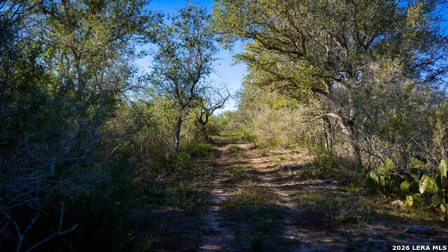 7869 County Road 203 Beeville, TX 78102