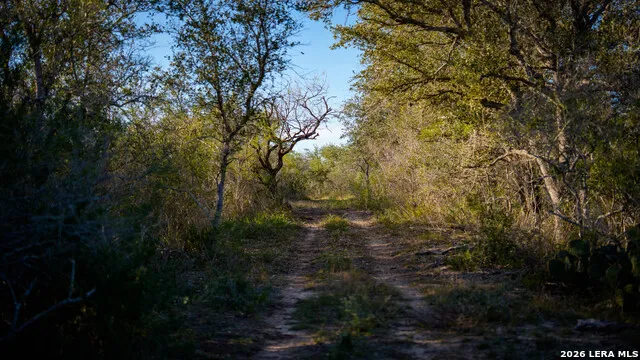 7869 County Road 203 Beeville, TX 78102