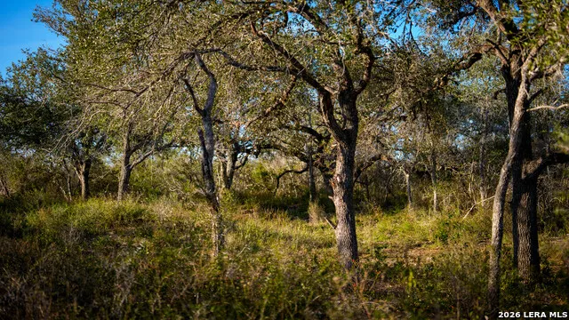 7869 County Road 203 Beeville, TX 78102