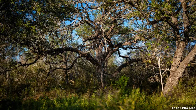 7869 County Road 203 Beeville, TX 78102