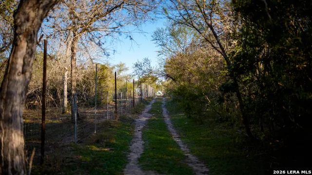7869 County Road 203 Beeville, TX 78102