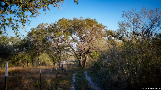 7869 County Road 203 Beeville, TX 78102