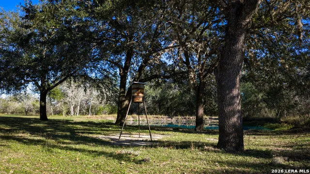 7869 County Road 203 Beeville, TX 78102