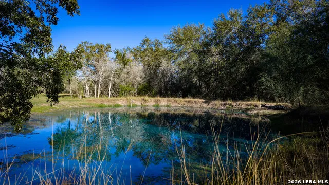 7869 County Road 203 Beeville, TX 78102
