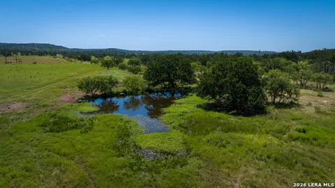 9978 hay spring