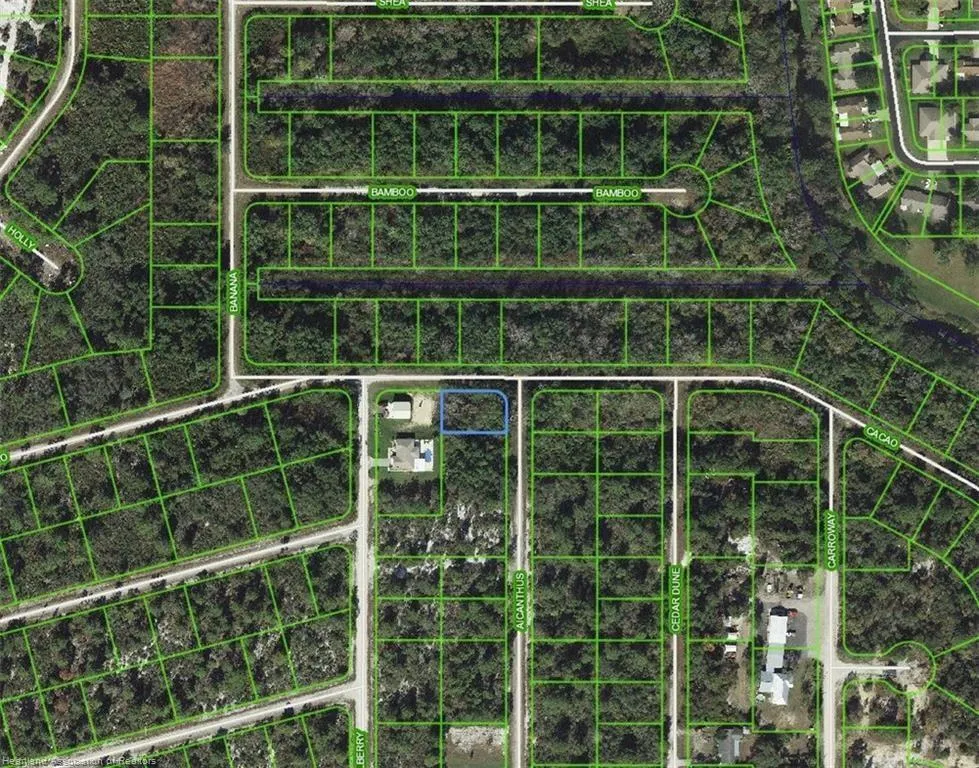 1218 Ailanthus Street Lake Placid, FL 33852